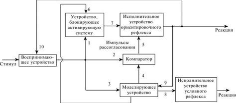 Формирование нейтрального стимула