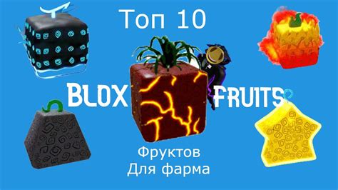 Формование ЦДК Блокс Фрут