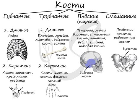 Формы и типы волнорезов