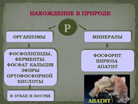 Фосфор: открытие, синтез, получение