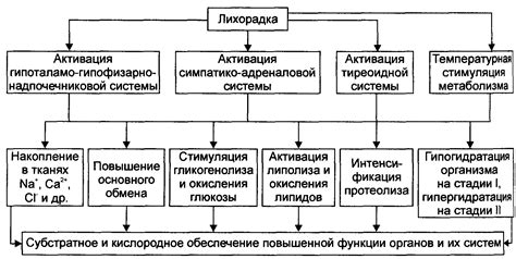 Характеристика симптомов вечерней лихорадки