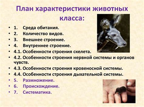 Характеристики животных
