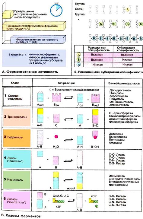 Химические вещества и повышенная активность ферментов
