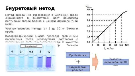 Химические методы проверки концентрации нитратов