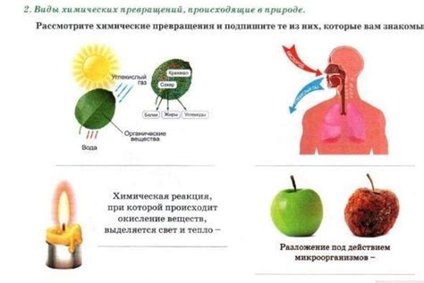 Химические реакции, происходящие внутри чебуреков во время жарки