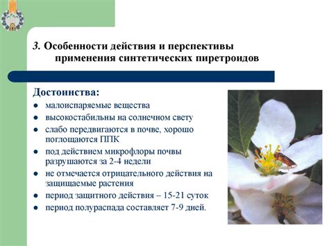 Химические средства для борьбы с щавелем