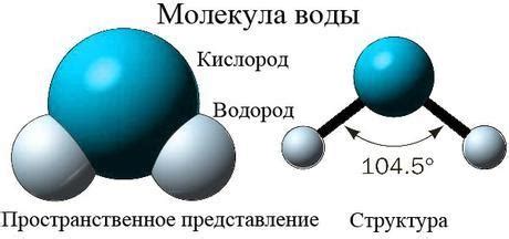 Химический состав воды океана: ключевые элементы