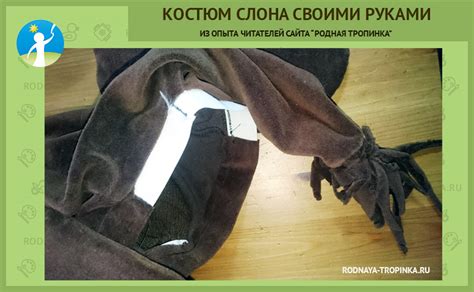 Хобот и уши