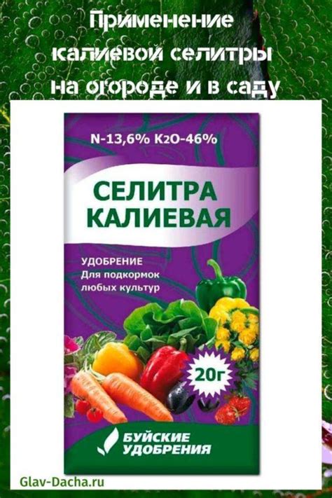 Хранение и использование полученной калиевой селитры