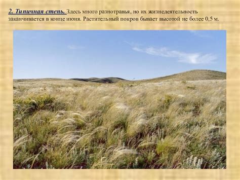 Хранение разнотравья и их уход