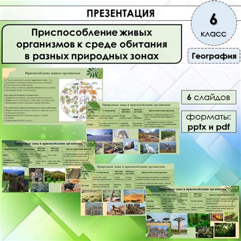 Цветение в разных климатических зонах