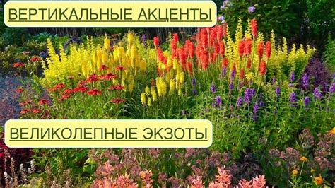 Цветочные композиции: создание ярких акцентов в саду