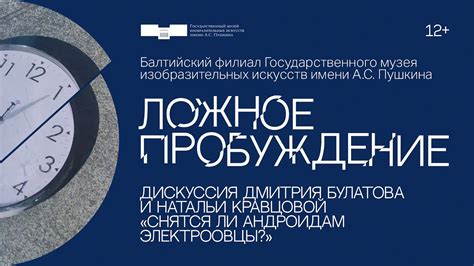 Центральный концепт: электроовцы и их символика