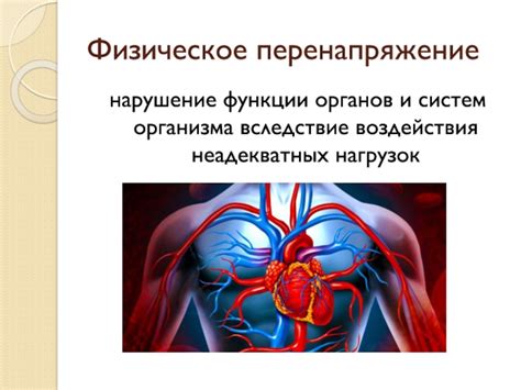 Частое стрессовое и физическое перенапряжение