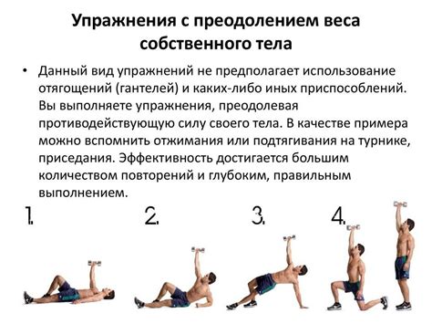 Частота и продолжительность тренировок для увеличения рук