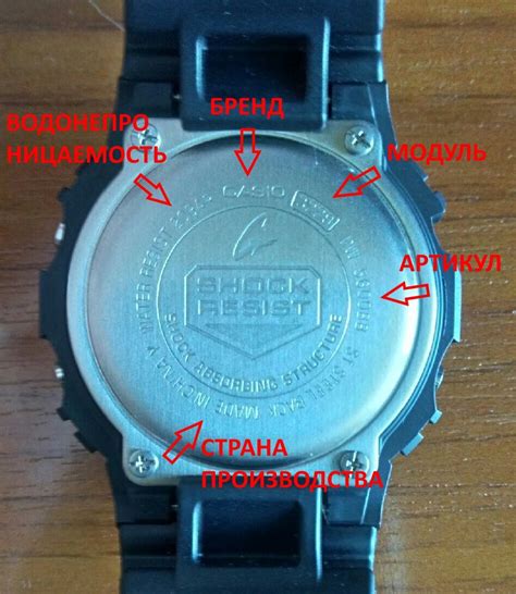 Часы Casio: подлинность и оригинальность
