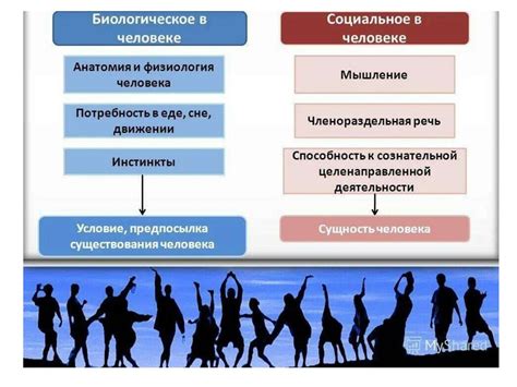 Человек: биосоциальное существо общего класса