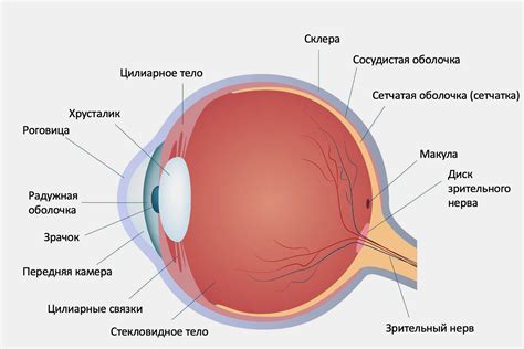 Чертащие глаз