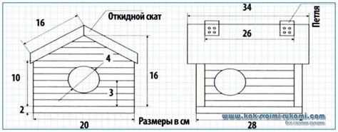 Чертежи бельчатника с размерами и пропорциями