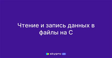 Чтение и запись байт в файлы