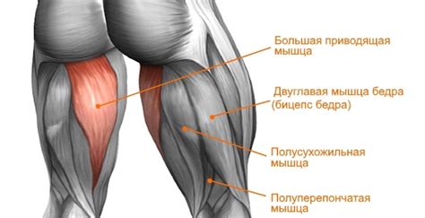 Что вызывает судороги на задней поверхности бедра