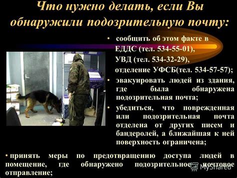 Что делать, если была обнаружена подозрительная симптоматика