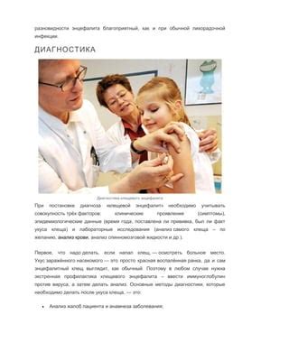 Что делать, если был укушен клещем энцефалита