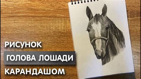 Что нам понадобится для рисования лошади на дыбах с человеком
