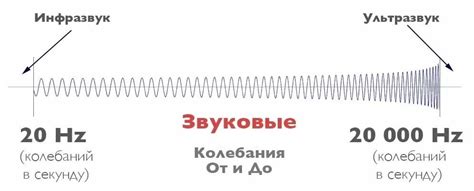 Что такое ультразвук и почему нужно избавиться