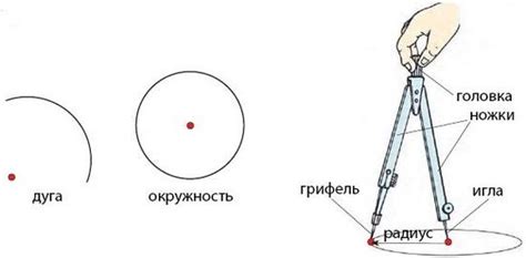 Что такое циркуль и как его правильно использовать