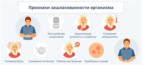 Шаги для полной очистки организма от токсинов дома