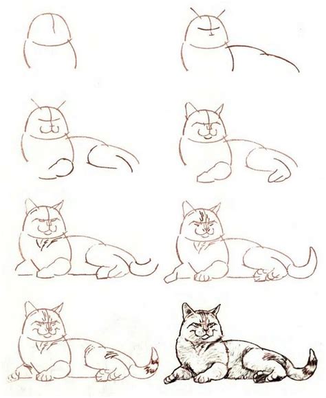 Шаги для создания контура кота