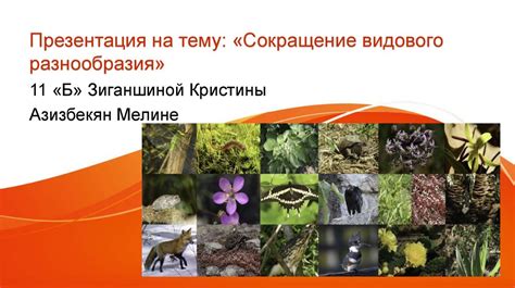 Шаги для сохранения видового разнообразия