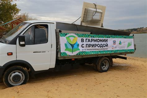 Шаги по очистке канистры от зелени