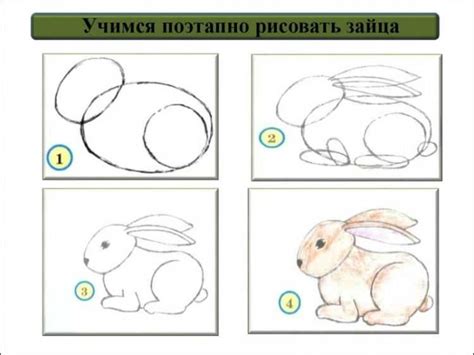 Шаги рисования зайца