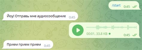 Шаг за шагом: сохранение аудиосообщений из Telegram на iPhone