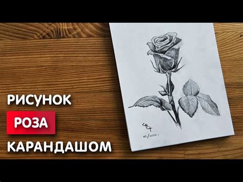 Шаг 1: Начертание основных форм домика