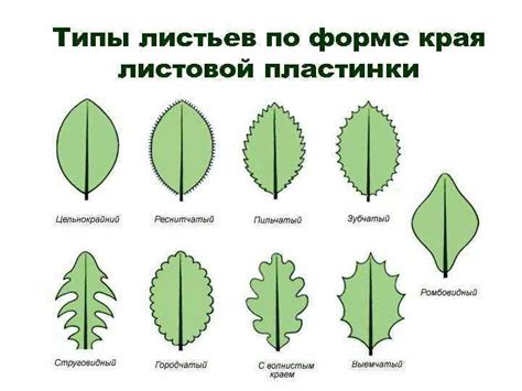Шаг 1: Определение формы листа