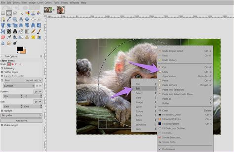 Шаг 1: Откройте изображение в GIMP