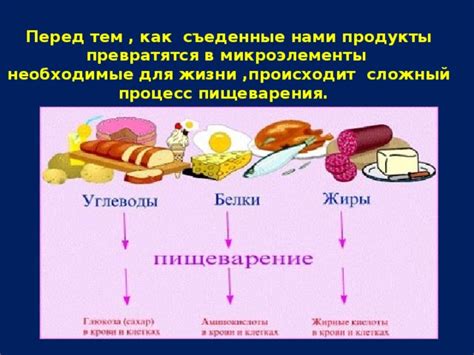 Шаг 1: Питайтесь правильно