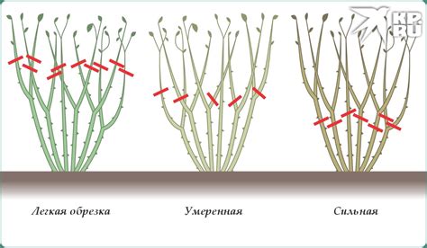 Шаг 1: Подготовка и обрезка картона