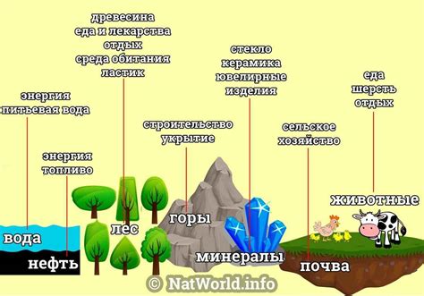 Шаг 1: Подготовка территории и ресурсы