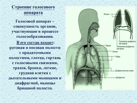 Шаг 1. Ознакомление с функциональностью аппарата