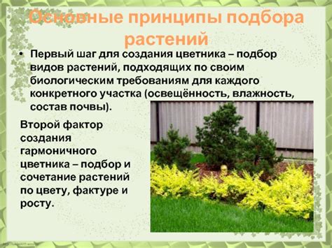 Шаг 1. Подбор подходящих субтитров