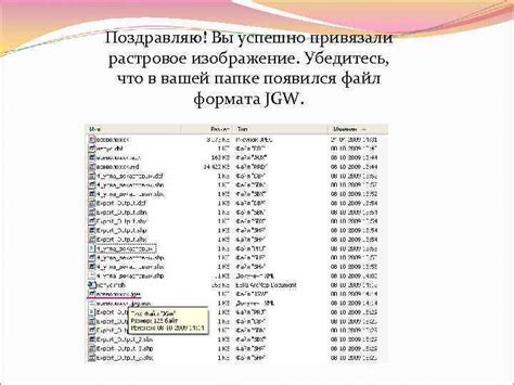 Шаг 10. Убедитесь, что файл успешно отправлен в чат