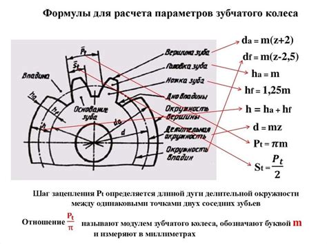 Шаг 2: Анатомические детали