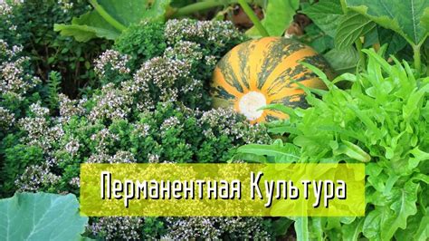 Шаг 2: Выбор подходящего места