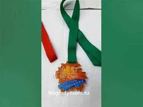 Шаг 2: Заполнение цветом медали