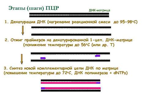Шаг 2: Нагревание реакционной смеси