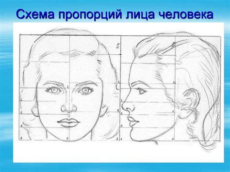 Шаг 2: Определение пропорций лица